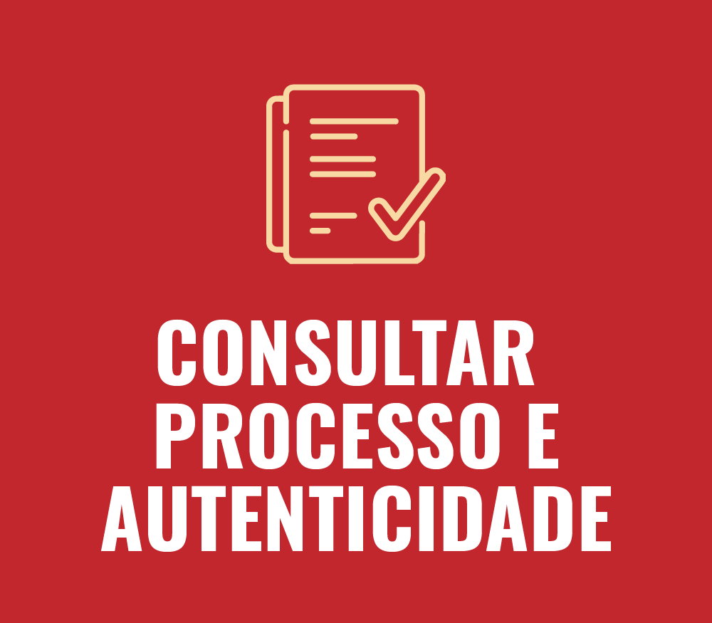 Consultar Processo e Autenticidade