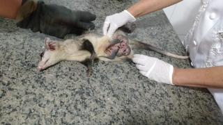 whatsapp_image_2019-11-08_at_11.30.38.jpeg
