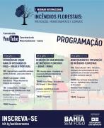 programacao.jpeg