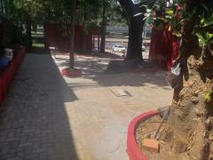 whatsapp_image_2020-11-11_at_09.24.20.jpeg