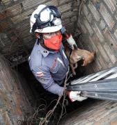 cachorrocapa.jpg