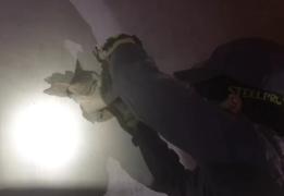 img-20210512-wa0060_1.jpg