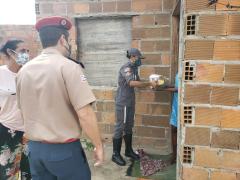 entrega6.jpg