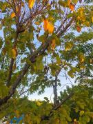 img-20210811-wa0057.jpg