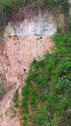 img-20210812-wa0031.jpg