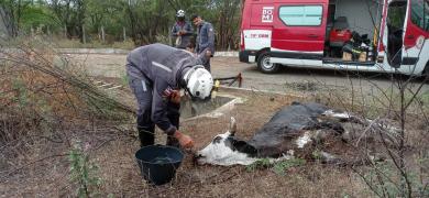 img-20211108-wa0016.jpg