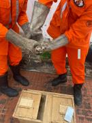 img-20220106-wa0021.jpg