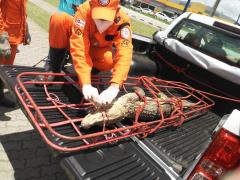 img-20220110-wa0081.jpg