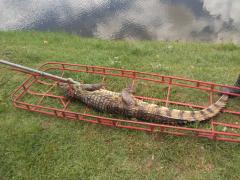 img-20220110-wa0089.jpg