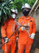 img-20220111-wa0025.jpg