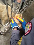 img-20220523-wa0086.jpg