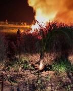 incendio.jpg