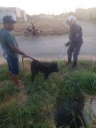 whatsapp_image_2022-06-14_at_09.49.34.jpeg
