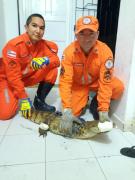 whatsapp_image_2022-11-23_at_12.59.28.jpeg