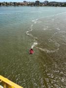 img-20230106-wa0049.jpg