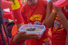img-20230111-wa0009.jpg