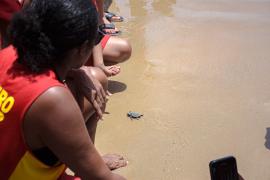 img-20230111-wa0013.jpg