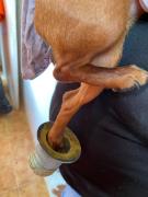 img-20230317-wa0053.jpg
