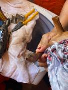img-20230317-wa0054.jpg