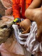 img-20230317-wa0055.jpg