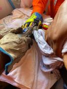 img-20230317-wa0056.jpg