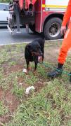 img-20230323-wa0044.jpg
