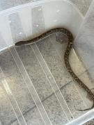 img-20231213-wa0061.jpg