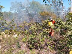 incendio4.jpg