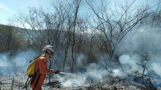 incendiocapa.jpg