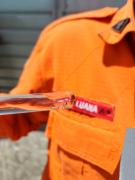denguecapa.jpg