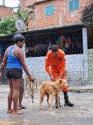 cachorro.jpg