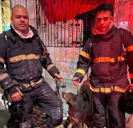 cachorrocapa1.jpg