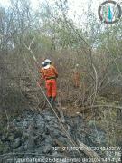 florestal2.jpg