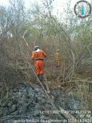 florestal.jpg