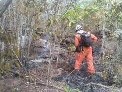 incendio.jpg
