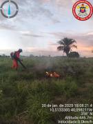 florestal1.jpg