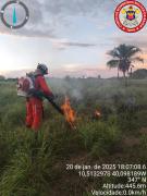 florestal2.jpg