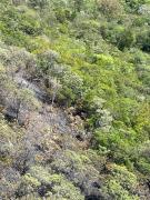 chapada.jpg