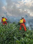 incendio4.jpg