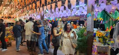 arraia9.jpg