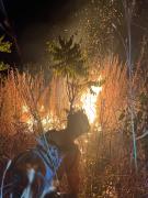 incendio5.jpg