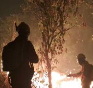 incendio1.jpg