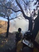 incendio2.jpg