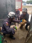 IMG-20220523-WA0088.jpg