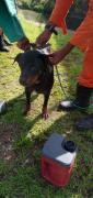 IMG-20230323-WA0042.jpg