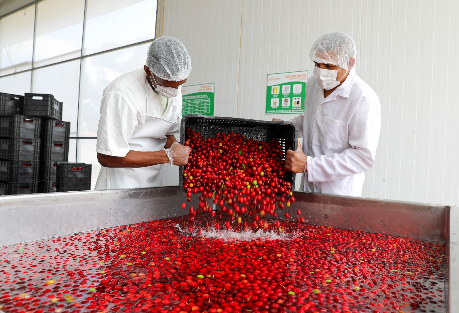 Bahia colhe inclusão, renda e desenvolvimento com a agricultura familiar no 1º semestre de 2025