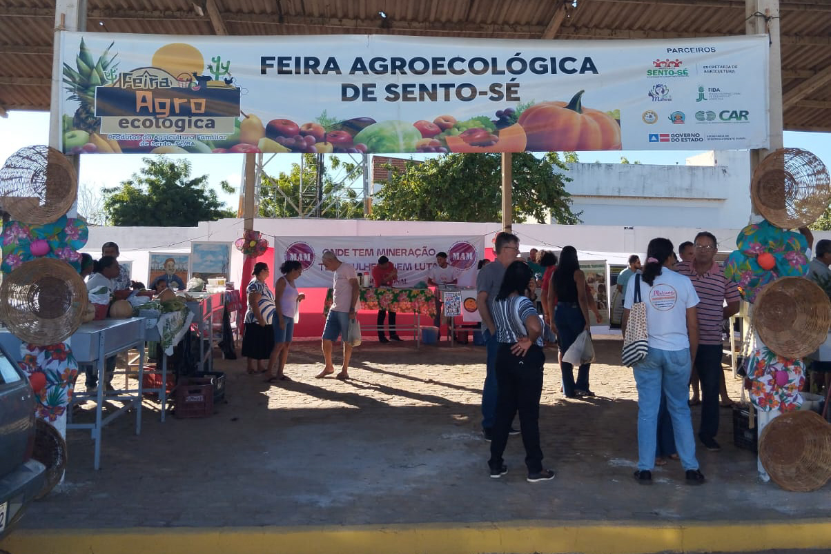 Feira agroecológica apoiada pela CAR, em Sento Sé, comemora seis anos de existência