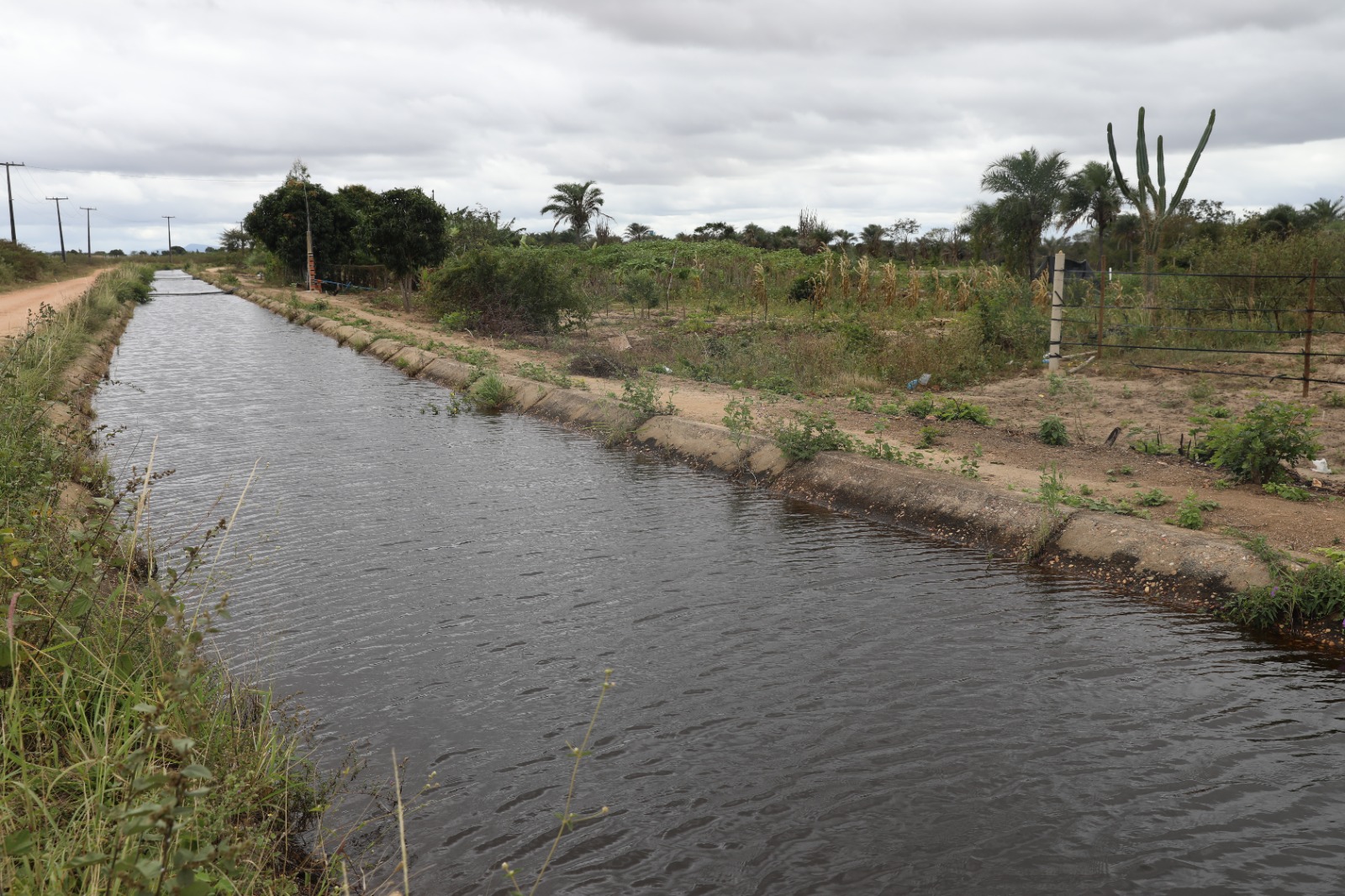 Governo da Bahia entrega 120 hectares irrigados a famílias assentadas em Ponto Novo