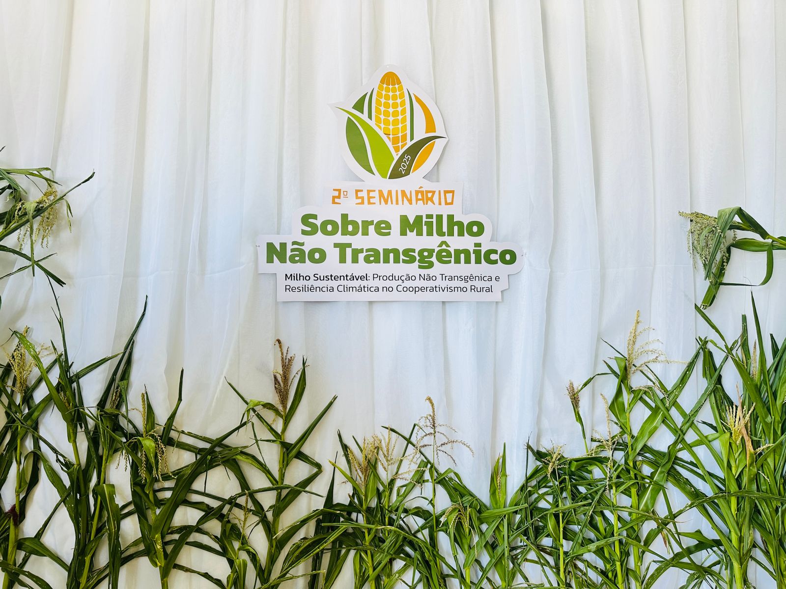  Irecê consolida debate sobre produção não transgênica e fortalecimento do cooperativismo rural