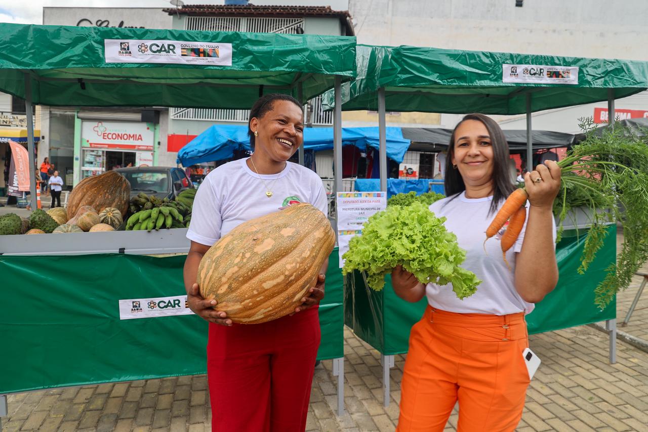 Tratores, barracas e obras estruturantes impulsionam a agricultura familiar no Vale do Jiquiriçá